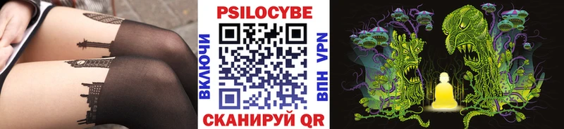 Псилоцибиновые грибы Psilocybine cubensis Власиха